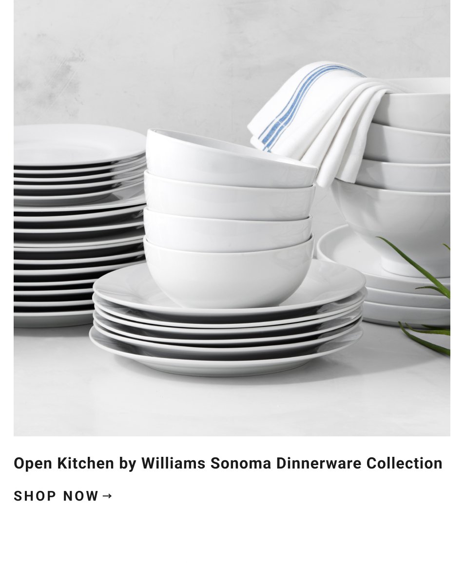 Open Kitchen by Williams Sonoma Dinnerware Collection